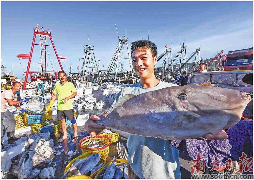 依托深海良港，阳江推动建设“海上风电+海洋牧场”产业发展新模式。受访者供图