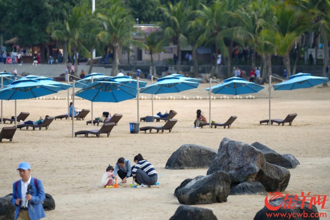 风景优美的金沙湾滨海休闲旅游区