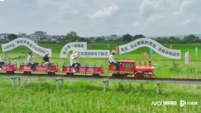 墨园村稻田小火车。