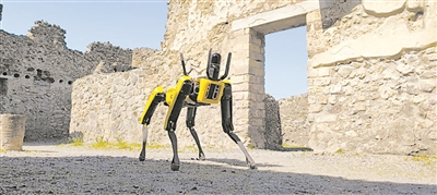  机器狗穿梭于断壁残垣之间执行巡逻任务。图片来源：世界经济论坛官网