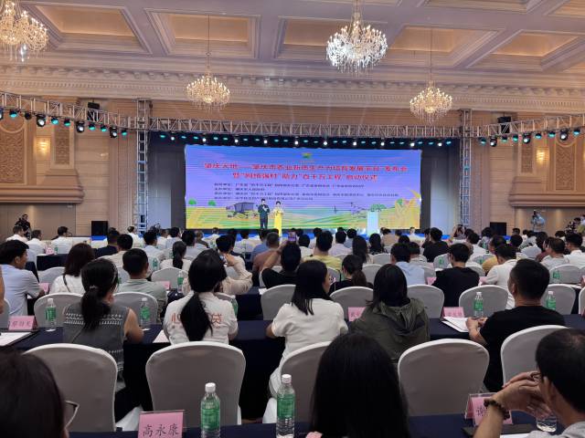 活动现场。  南方+ 刘宇恒 拍摄