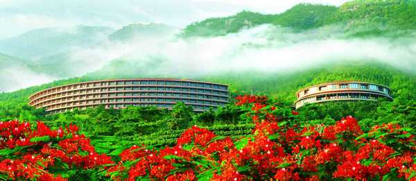 雁南飞茶田景区